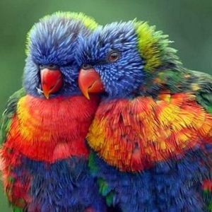 Meet your Posher, Barbie